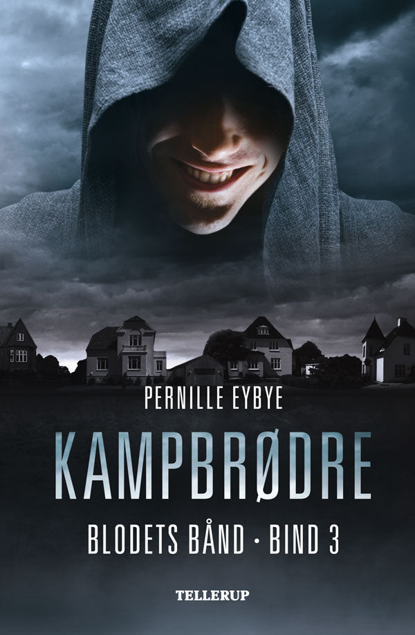 Forside billede